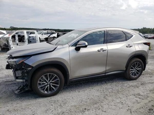 2023 LEXUS NX - Other View