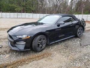 2019 FORD Mustang - Other View