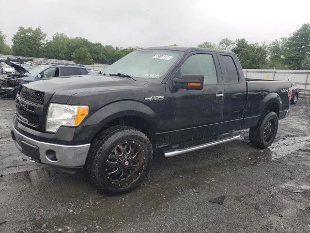 2010 FORD F-150