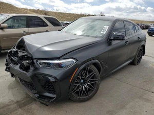 2021 BMW X6 - Other View