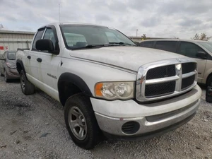2005 DODGE Ram - Other View