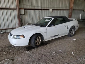 2003 FORD Mustang - Other View