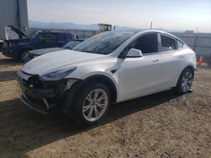 2021 TESLA Model Y - Other View