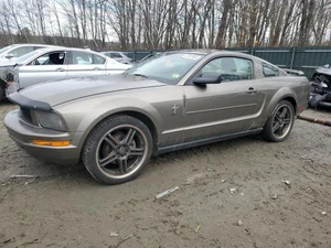 2005 FORD Mustang - Other View