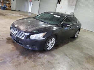 2010 NISSAN Maxima - Other View