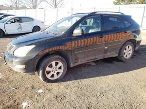 2005 LEXUS RX - Other View